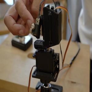 2 Axis Servo Arm for Cats