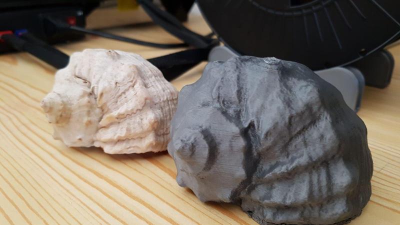 The ultimate seashell