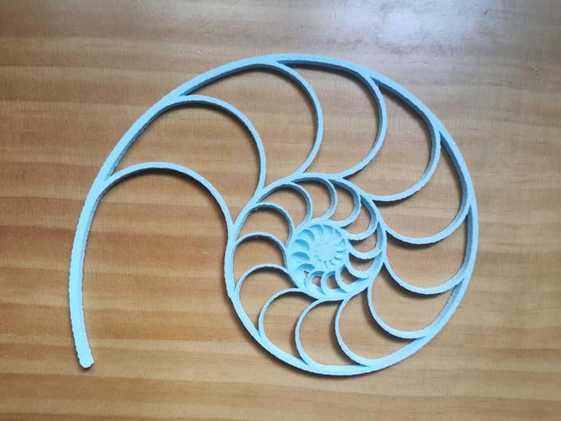 Nautilus Shell 2D