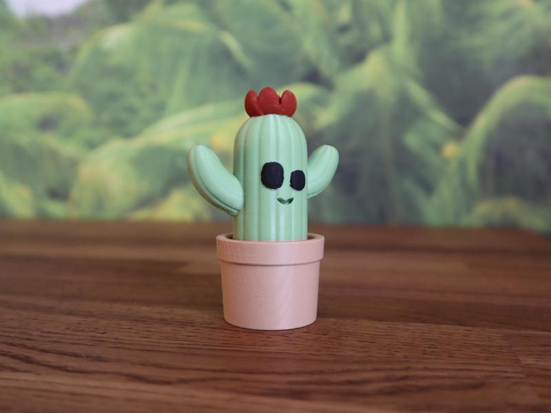 cactus Buster planter
