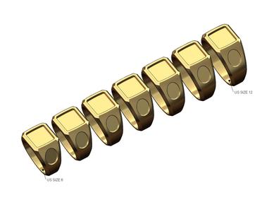 Blank top and sides square signet ring US sizes 6to12 3D print model