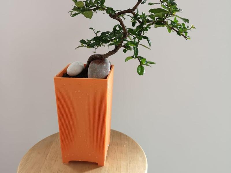 moire effekt bonsai pot