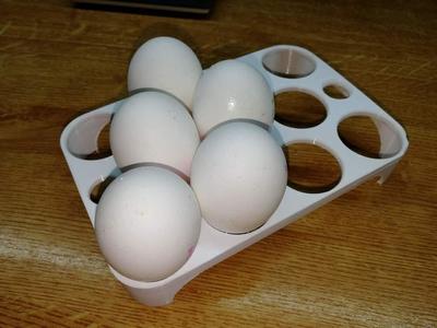 refrigerator egg holder (customizable OpenSCAD parametric design)