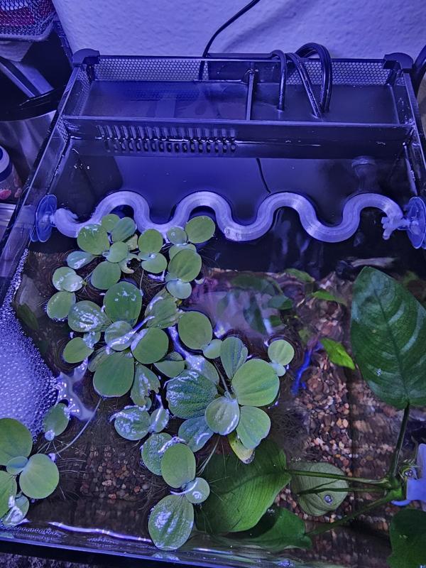 Wavy Floating Plant Guard Fluval Spec