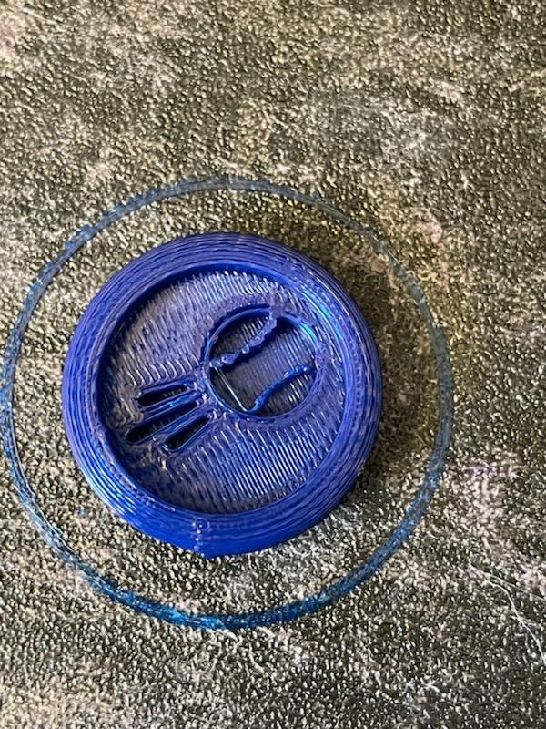 Little League Good Play coin