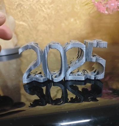2025 Year of the Snake bringing prosperity New Year Snake Year visual 3D lettering Requires supports