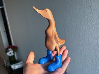 Duck with boots
