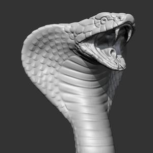 King Cobra Head AM09 3D print model