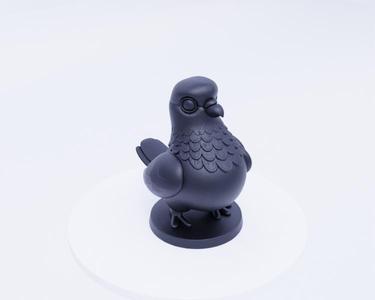 Cute Pigeon Standing - Charming City Bird