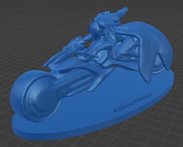 Project: Vayne + Bike