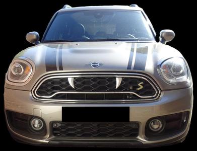 Grille teeth for MINI Countryman F60