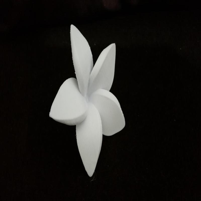 Floating Frangipani Flower