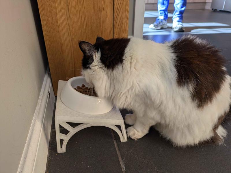 Cat food bowl riser