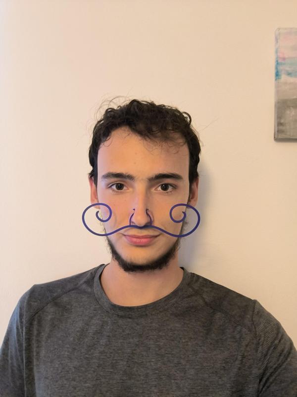 Moustache on the nose