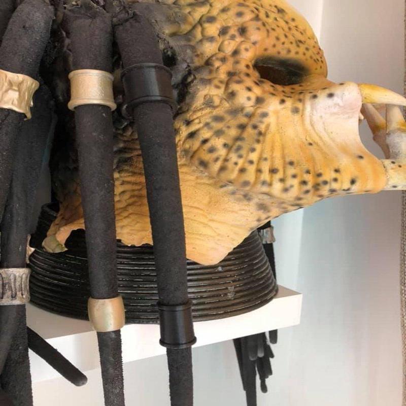 Predator dreadlock beads