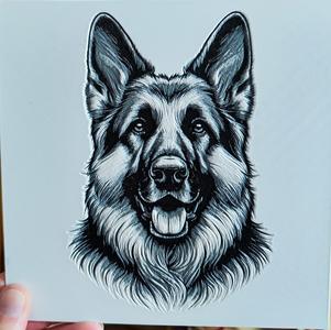 German Shepherd
