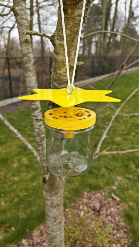 Asian Hornet Trap for honey jar