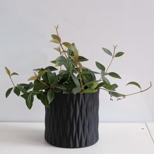 LINES crossed vase mode flowerpot planter