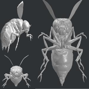 Fallout Bloatfly HD model