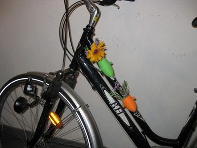 Flowerpot for bike