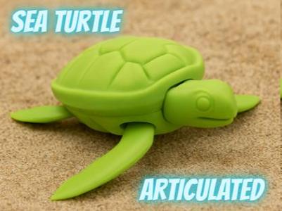 Articulated cute Sea Turtle