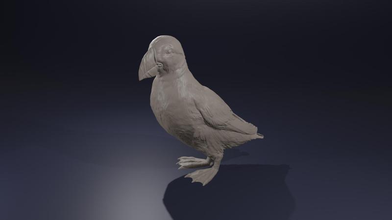 Highpoly Standing Puffin Fratercula arctica Atlantic Bird 3D print model