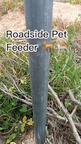 Roadside Pet Feeder