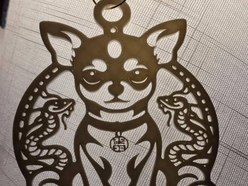 Amazing Chihuahua Chinese New Year