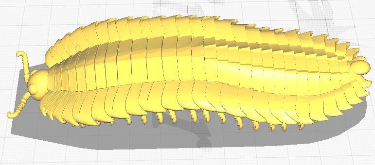 3D model depicts the colossal Arthropleura