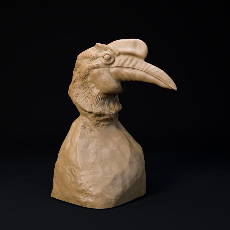 Knobbed hornbill bust - pre supported
