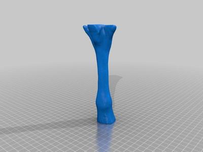 Fossil Horse Foot (Flesh Restored, Right Fore, Mesohippus/Oligocene)