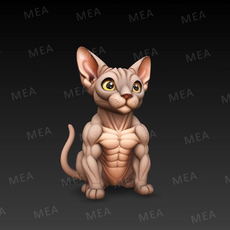 Muscular Sphynx Cat