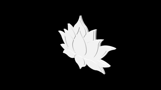 Lotus Flower - Shaped Coaster