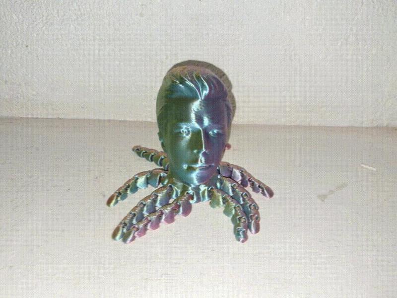 The Ricktopus (We Will Never Gonna Give You Up)