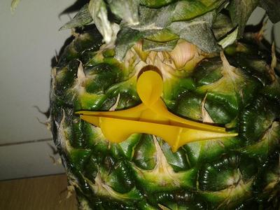 Kuen necklace / pendant B9Creator