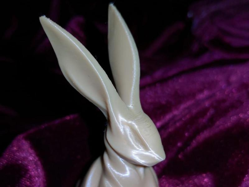 Rabbit Bunny 1