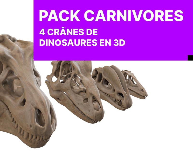 Carnivores Pack: 4 Dinosaur Skulls