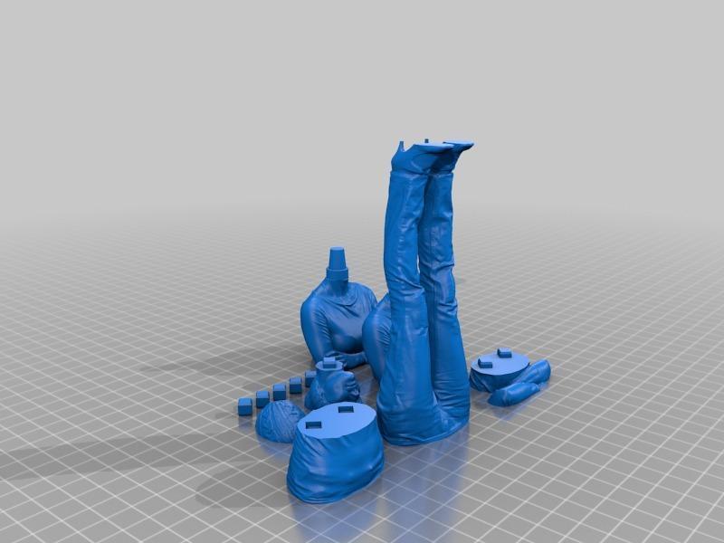 Anya2 Sliced With Pins Female Body