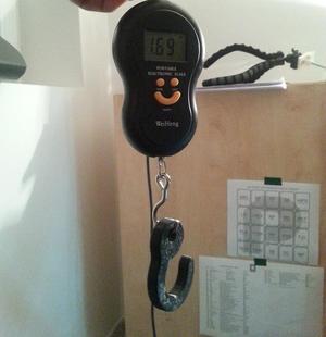 Hook for hook scale
