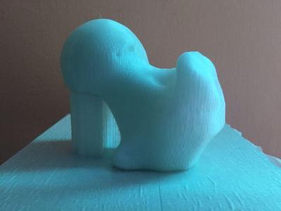femur 
