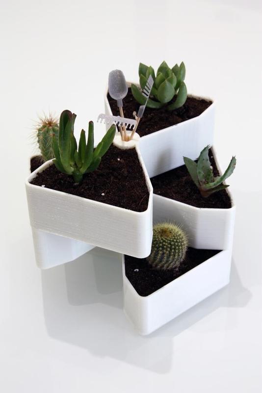 Giardino Rotante per piccole piante grasse