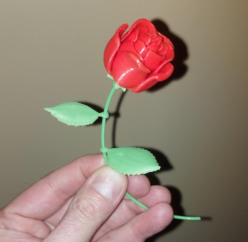 The Eternal Love Rose! v1 and v2