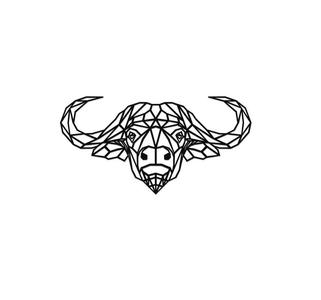 Minimalistic Geometric Buffalo Painting