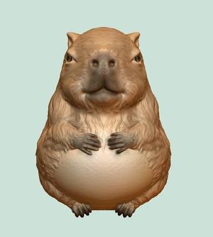MR CAPYBARA