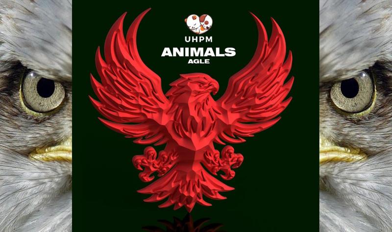 Animals - Eagle