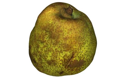 The Pear-2