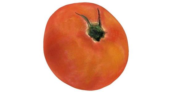The Tomato-2