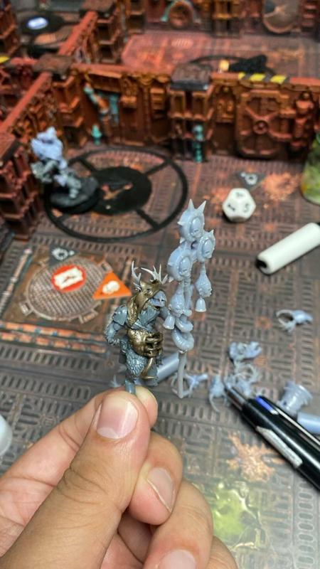 FELLGOR TO "PESTIGORS" CONVERSION KIT.