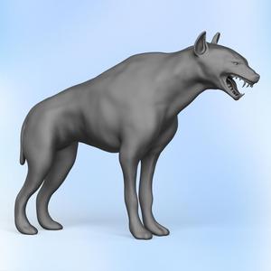 Wild Hyena