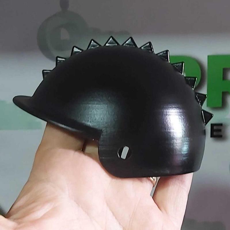 Helmet for poodle motorcyclists